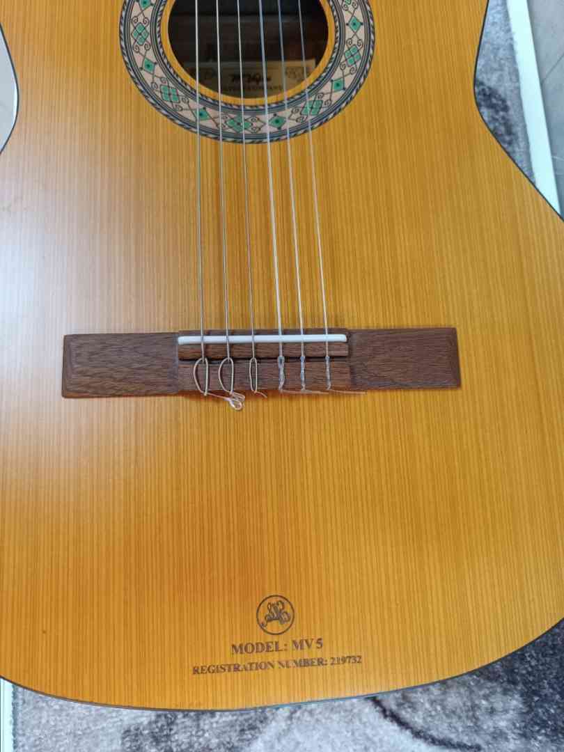 گیتار mv5 